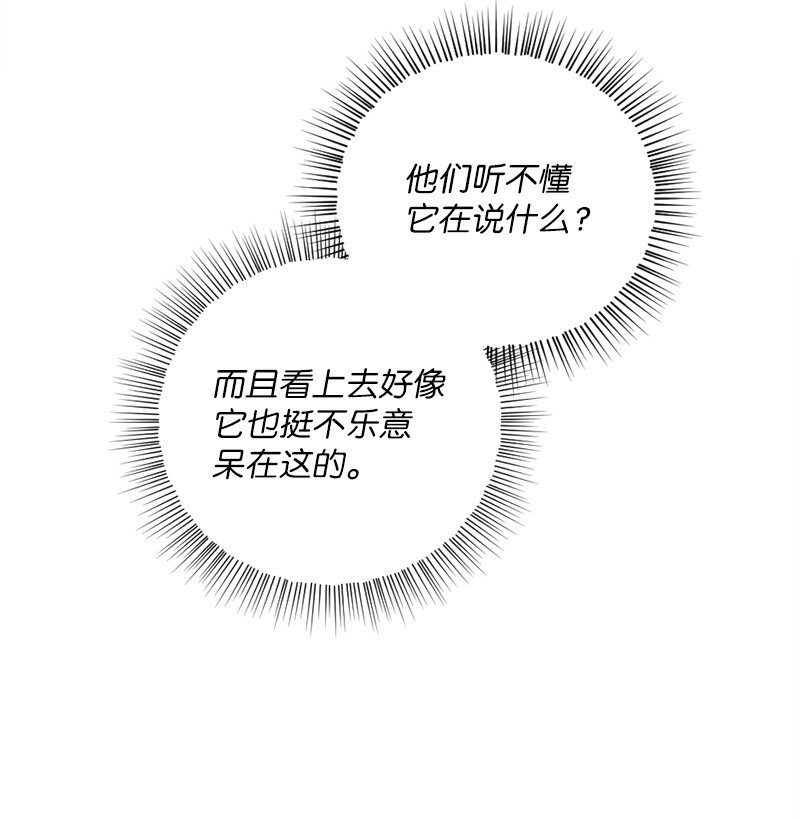 17 会见月之子(1/2)-第18话