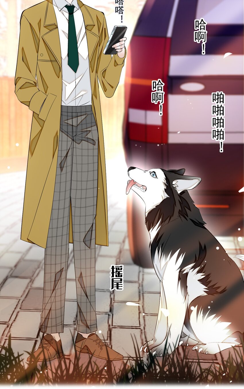 062 我不是人，你是真的狗！(1/2)-第80话