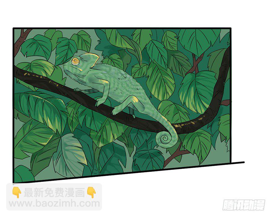 复仇的第一箭-第10话