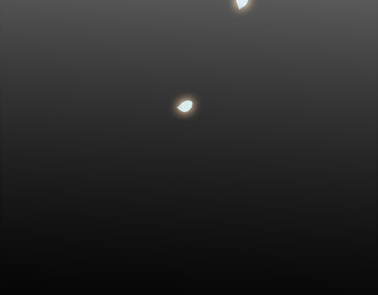 龍王子的女僕新娘 - 第102話 愛上另一個人？(3/3) - 8