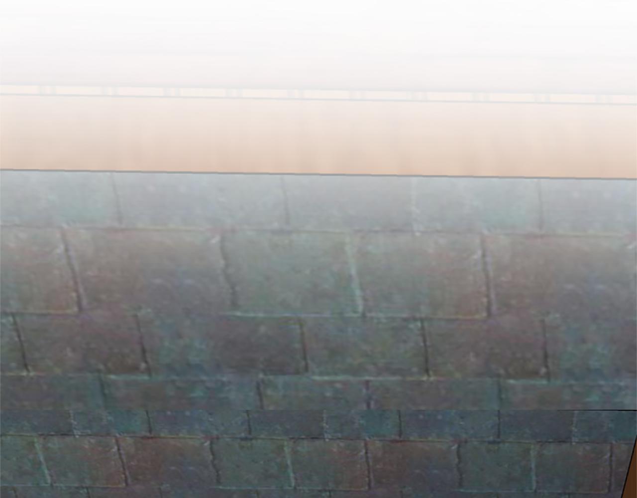 龍王子的女僕新娘 - 第66話 給塞維亞一個驚喜！(1/3) - 1