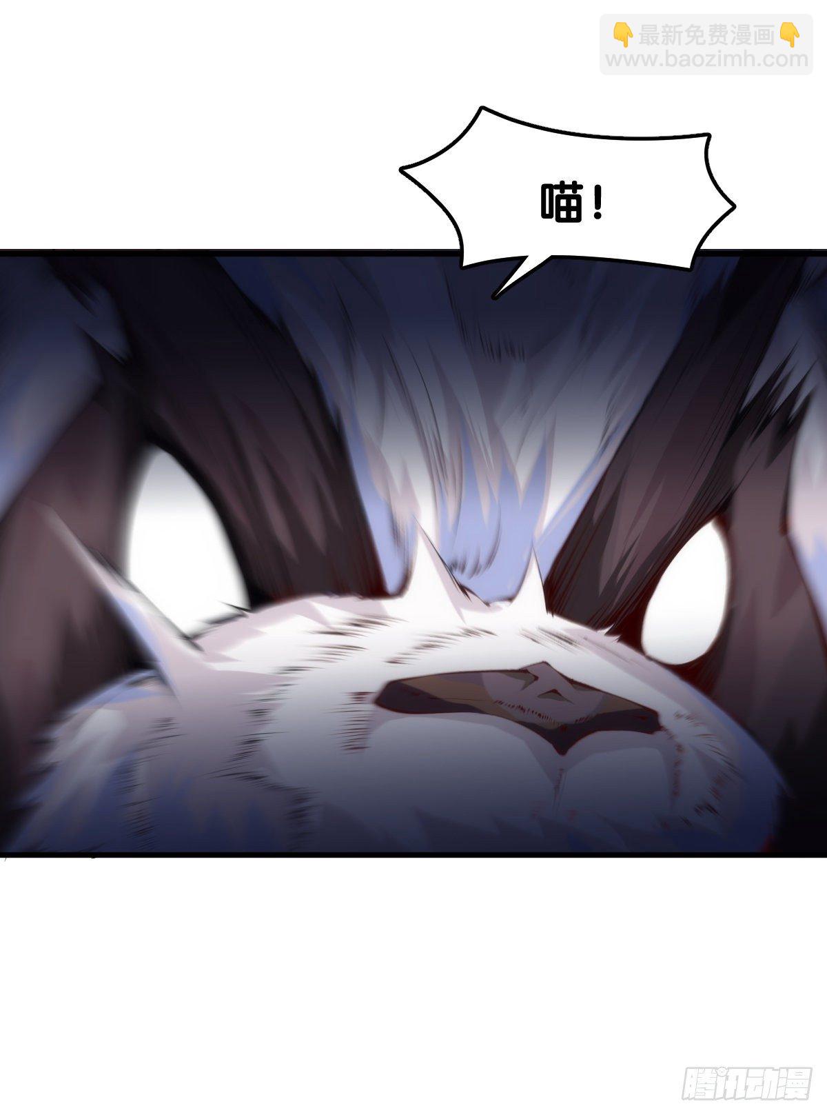 龍響天下 - 看似過時的玩具其實超好玩的 - 5