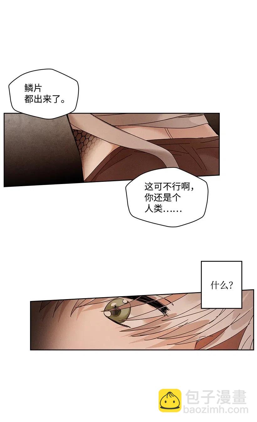 龍下雨的國家 - 80 80 - 1