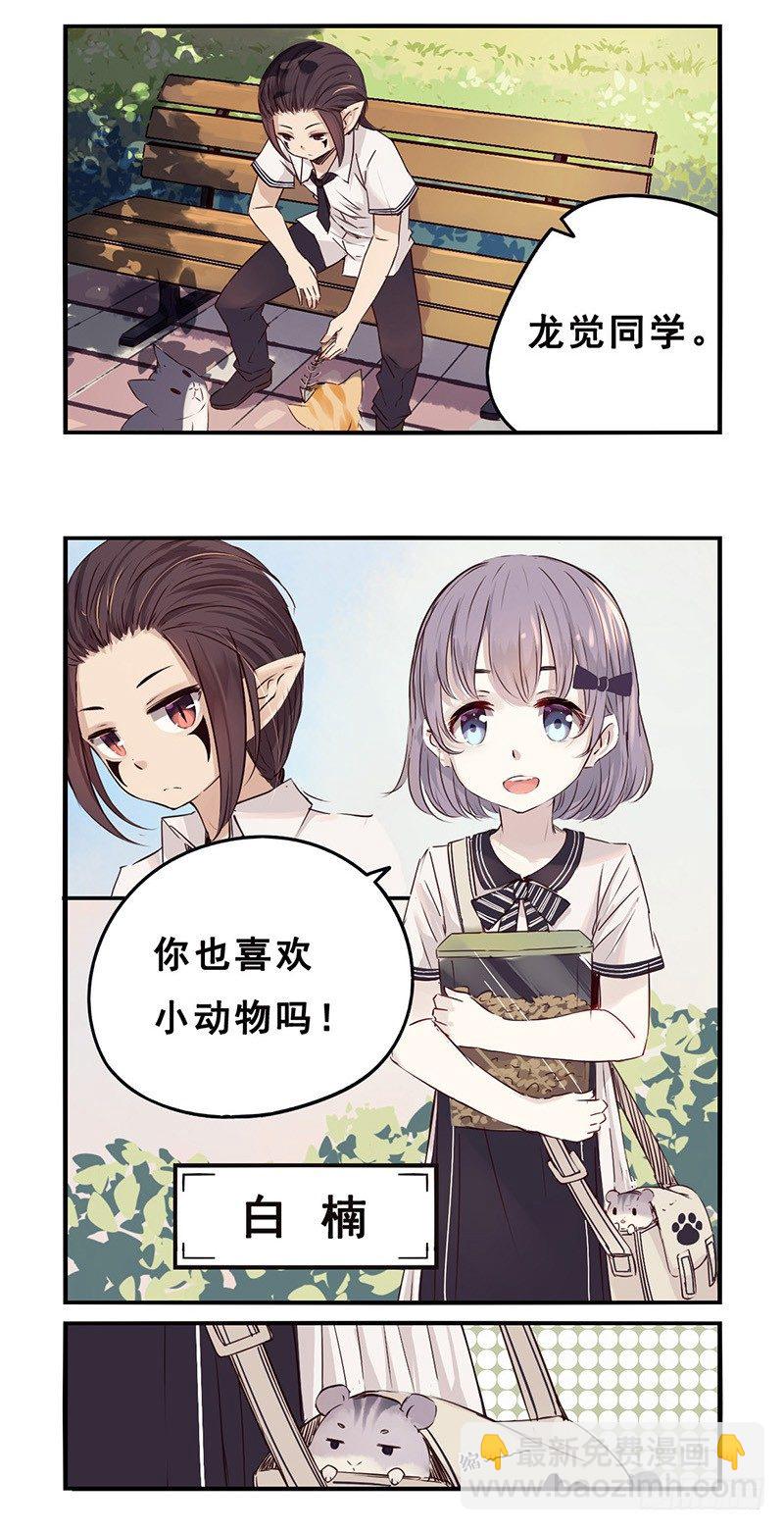 31：小黑（上）-第38话