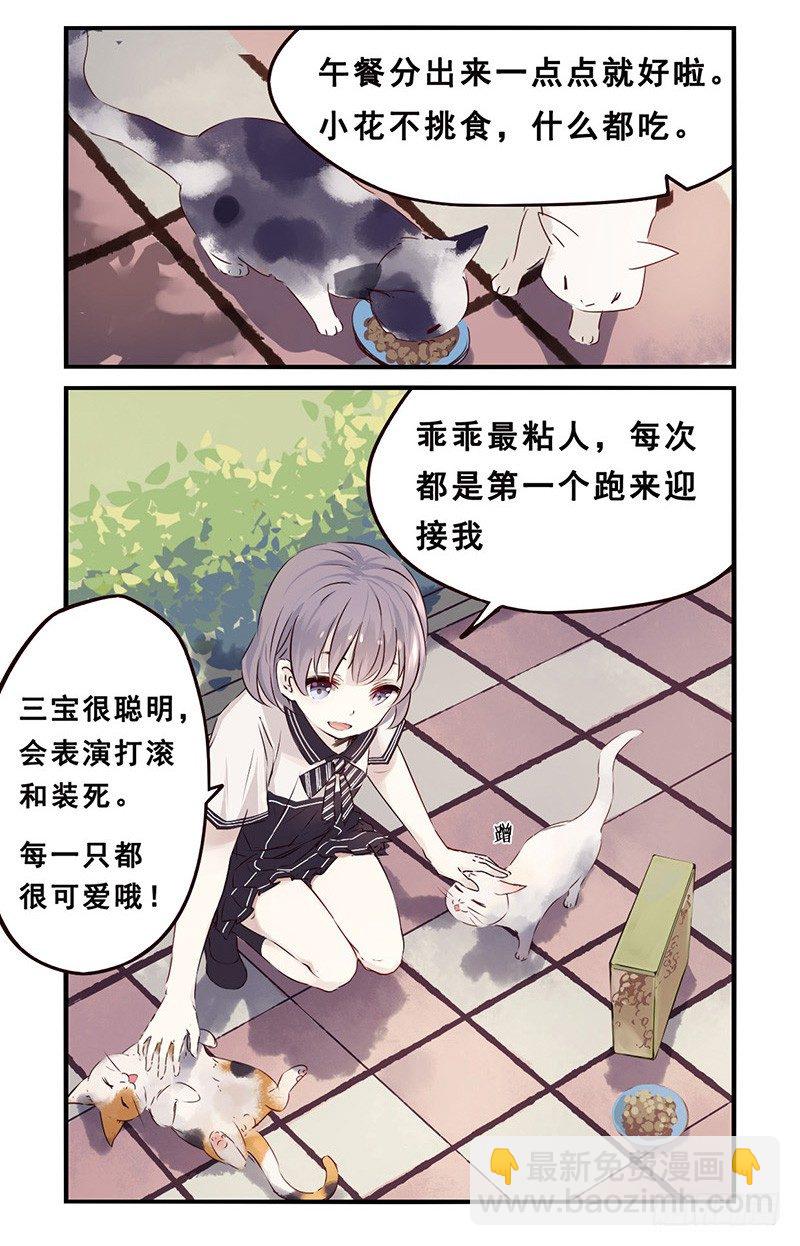 31：小黑（上）-第38话