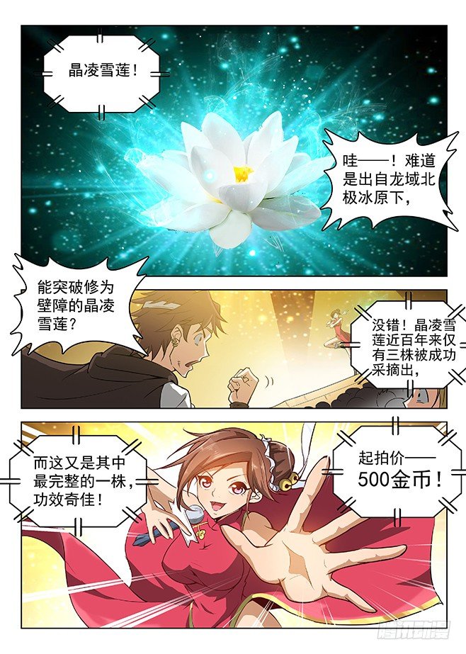 龍域獵手 - 144 拍賣盛況 - 3