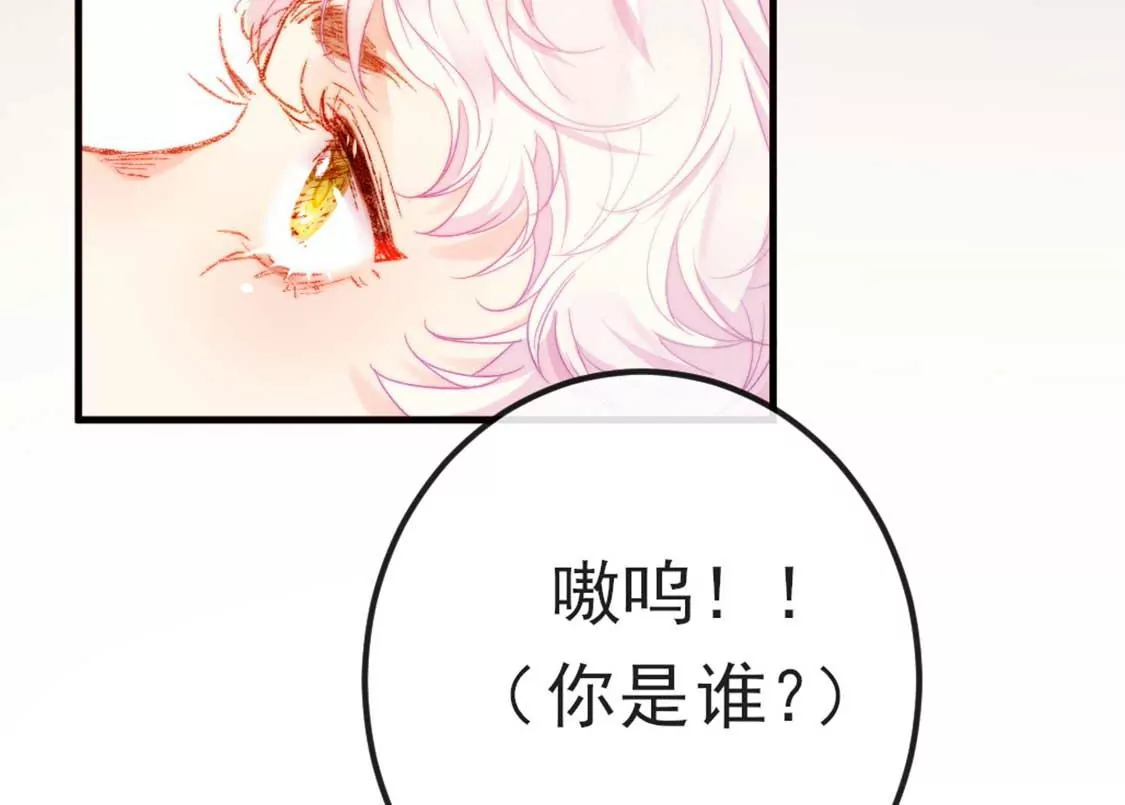 龍族新娘 - 第7話 消失的龍靈(1/3) - 4