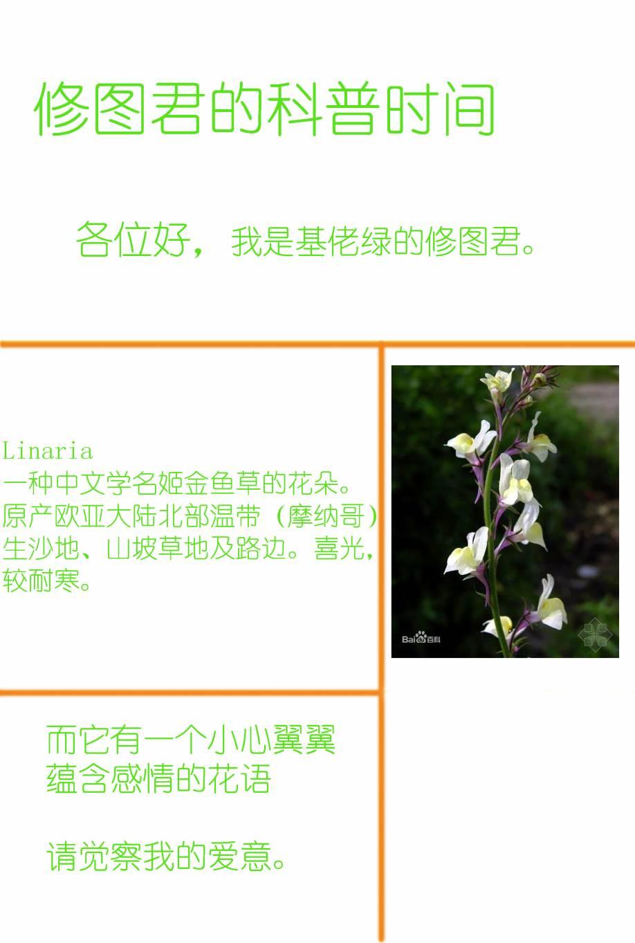 LoveLive - 爲她獻上的Linaria - 8