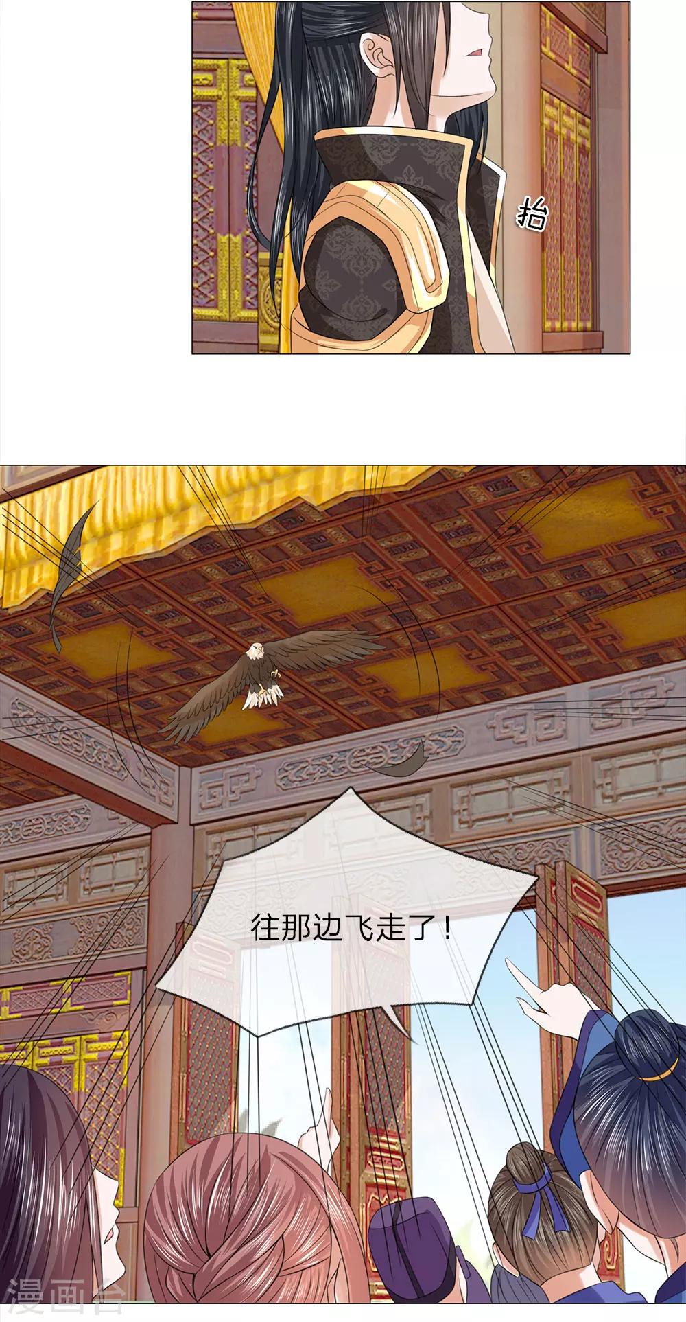 第78话 雄鹰展翅-第78话