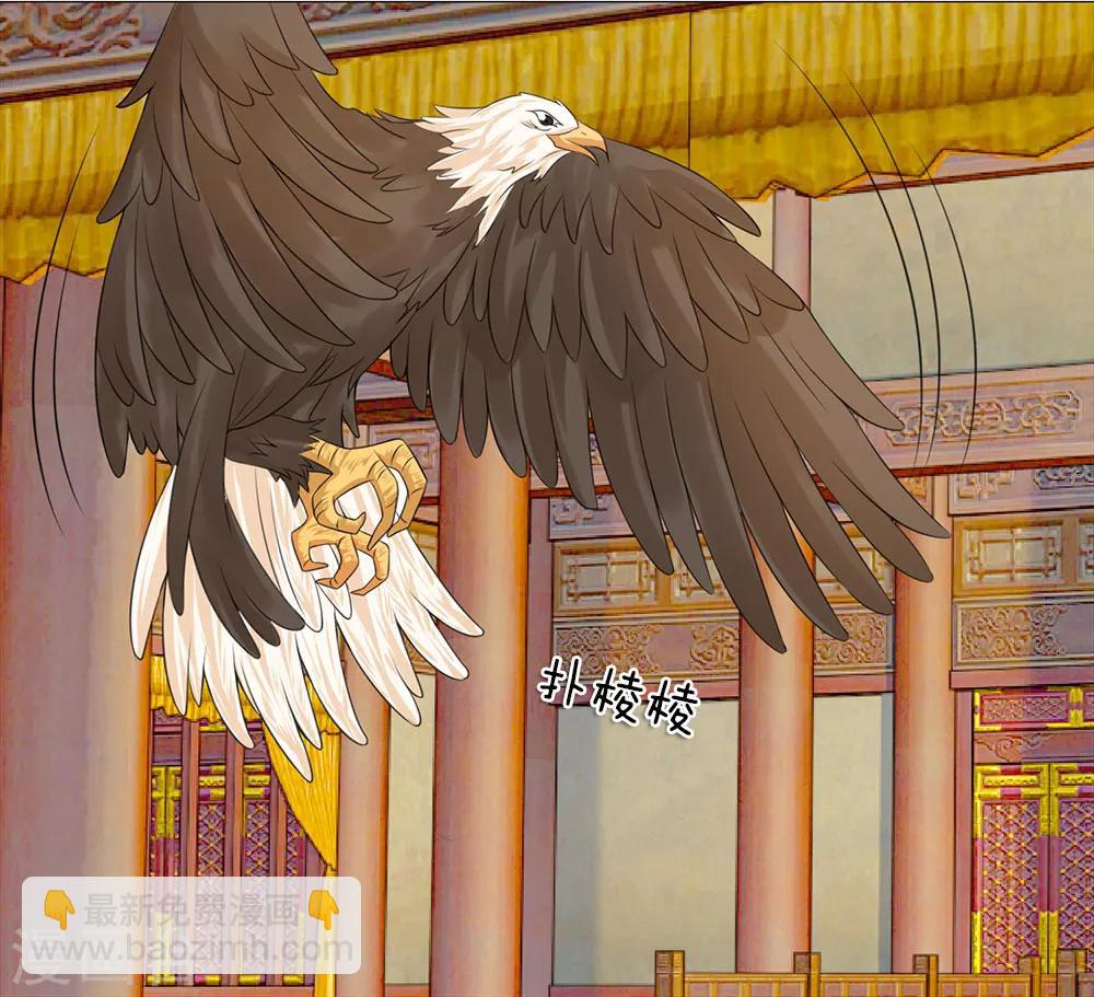 第78话 雄鹰展翅-第78话