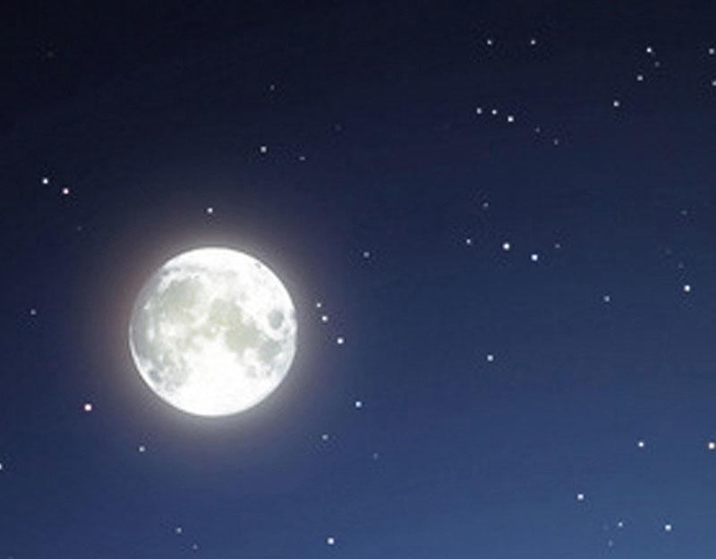 第24话 破产真相(1/2)-第24话