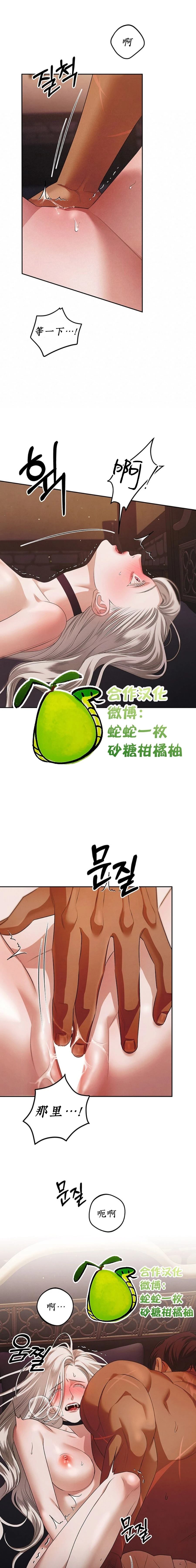 掠奪婚 - 第2話 - 4