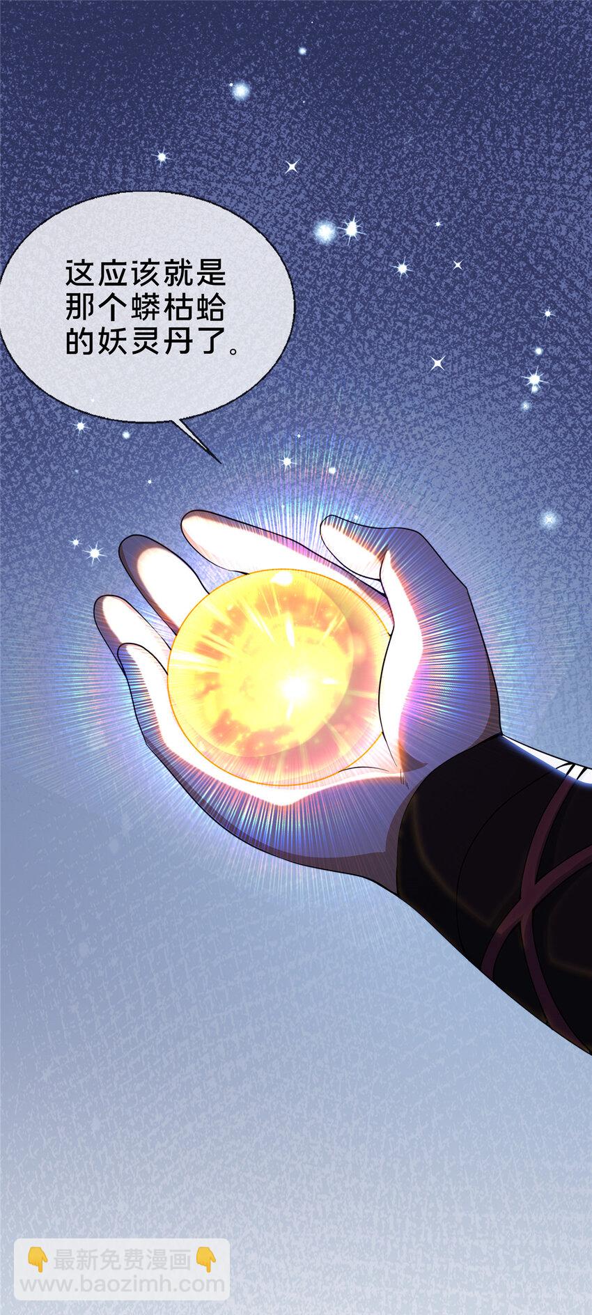掠天记 - 29 四阶妖灵丹 - 4