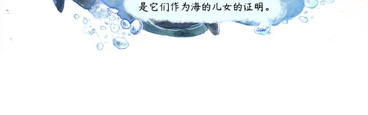 蘆花和胖頭鳥森林 - 【第十話】海豚菲洛(1/2) - 4