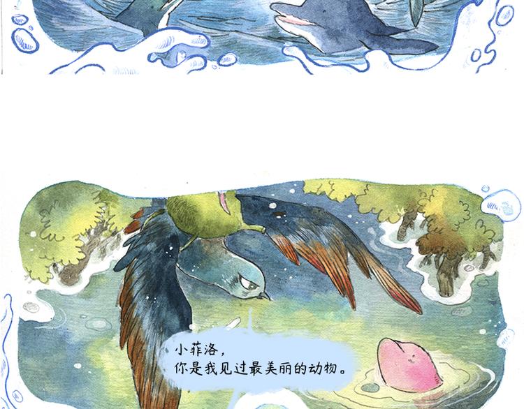 蘆花和胖頭鳥森林 - 【第十話】海豚菲洛(1/2) - 6