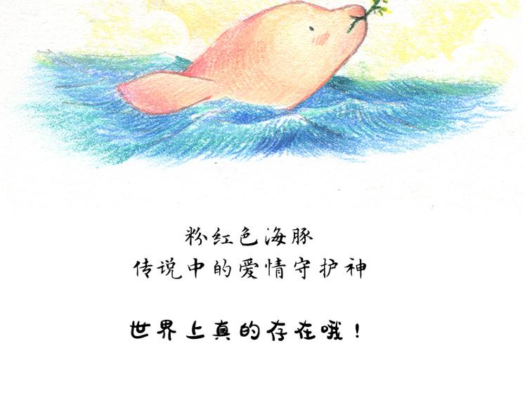 蘆花和胖頭鳥森林 - 【第十話】海豚菲洛(2/2) - 6