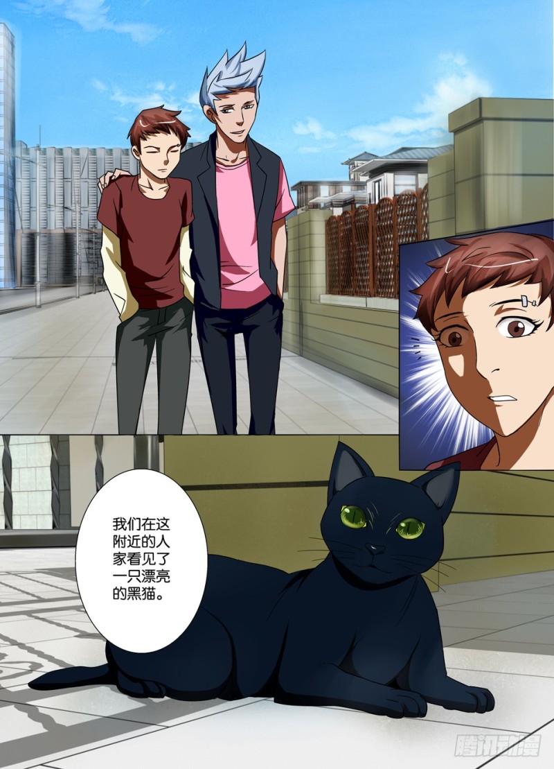 第一百五十二回 猫的视线-第152话