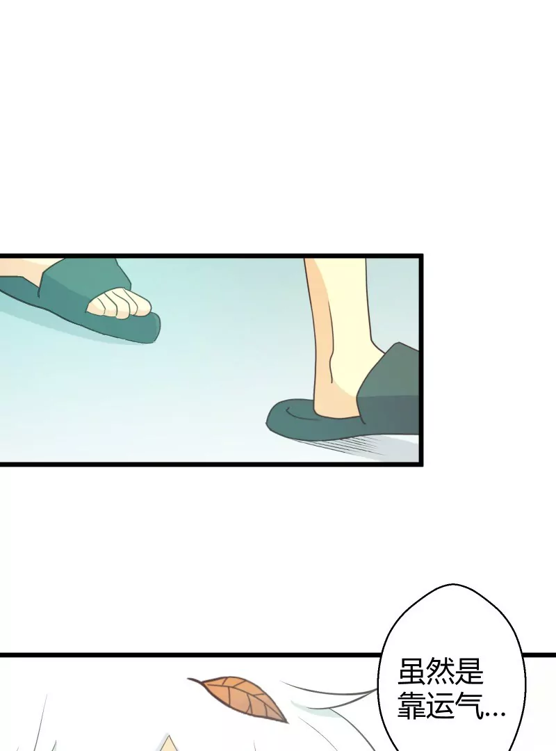 第44话  落叶的运气3-第44话