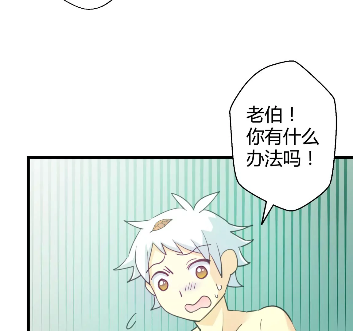 第54话 落叶的广场2(1/2)-第54话