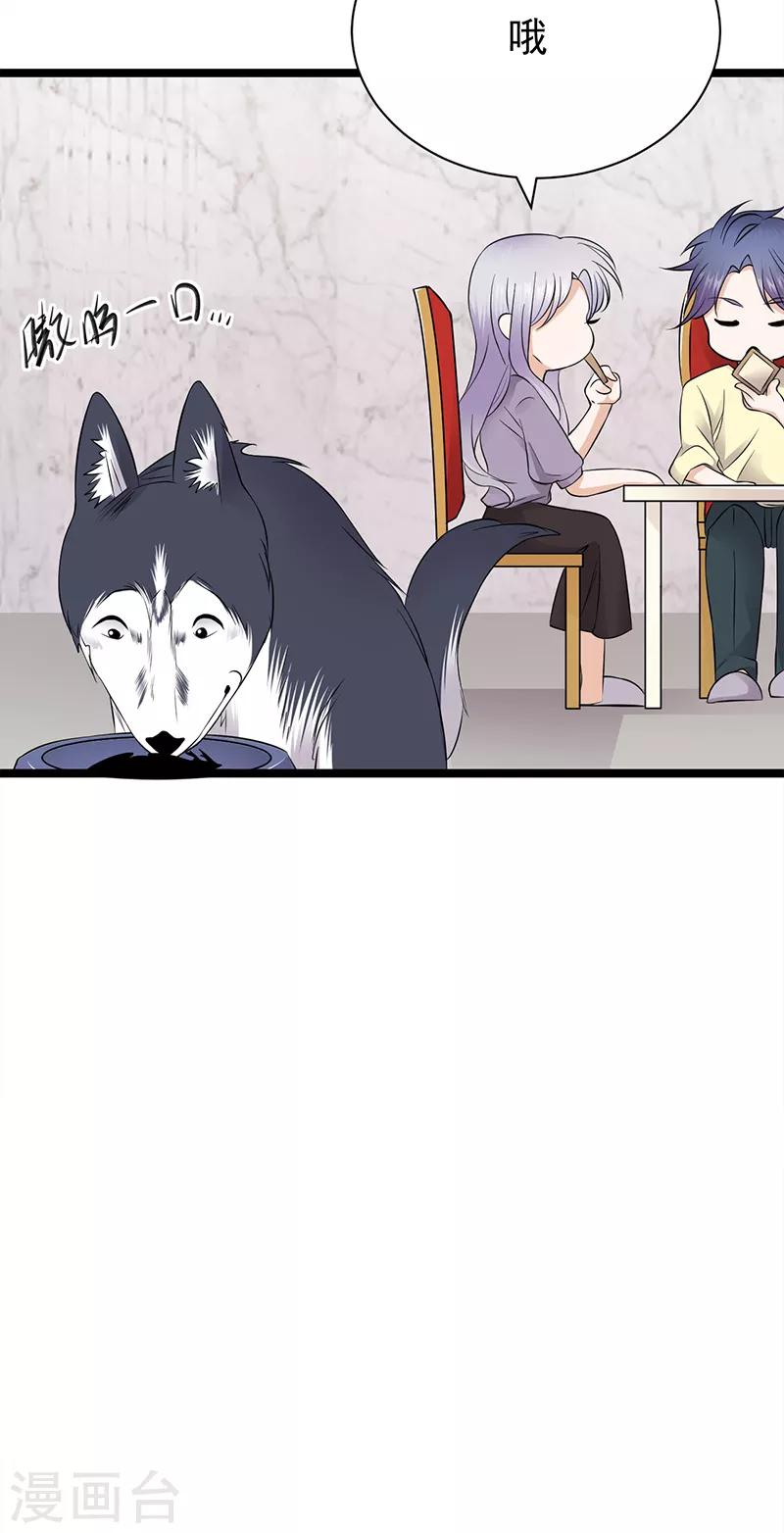 第37话 O型血感觉有被冒犯到-第38话