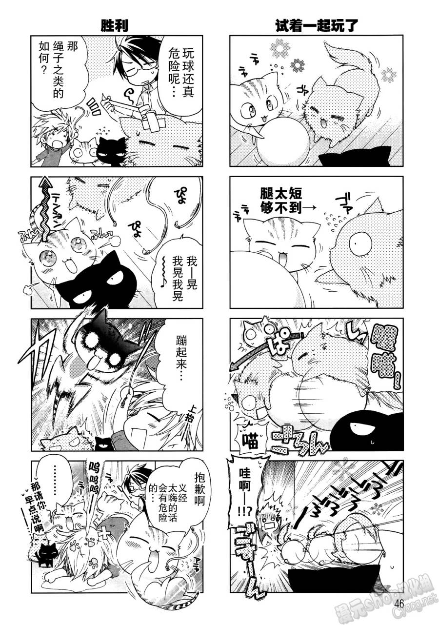 蘆屋的貓 - 第06話 - 2