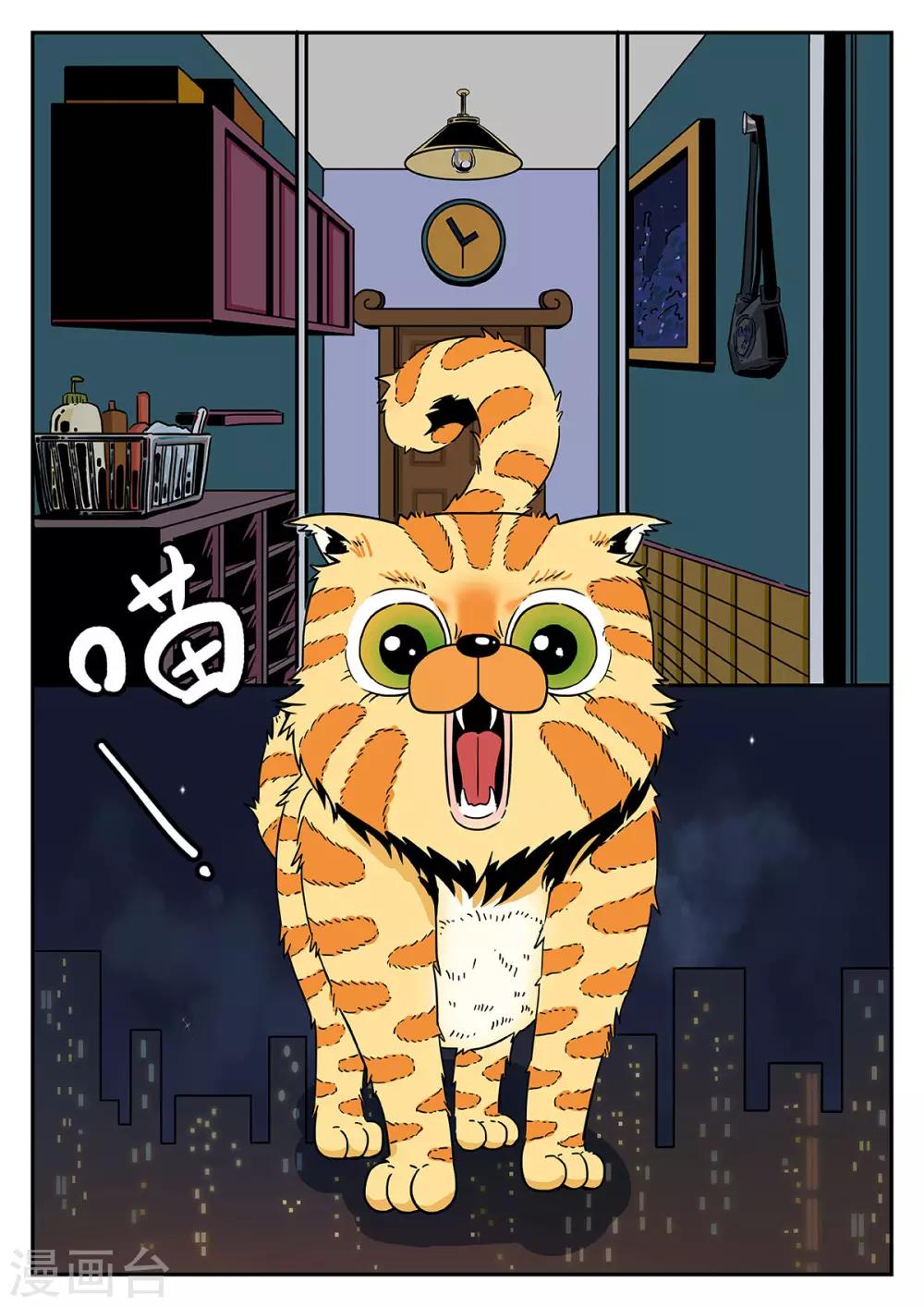 第36话 完美的新衣1-第36话