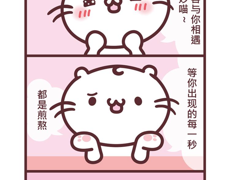 麻吉猫小日常 - 真情告白 - 1