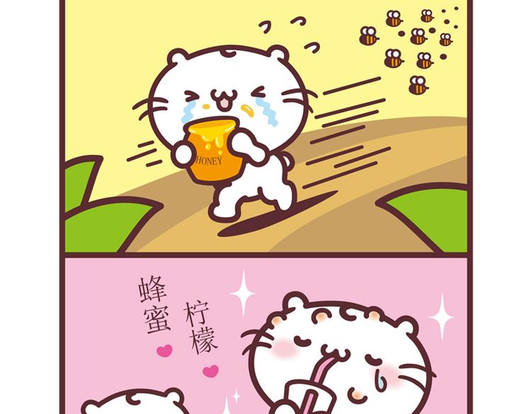 麻吉猫小日常 - 蜂蜜柠檬 - 1