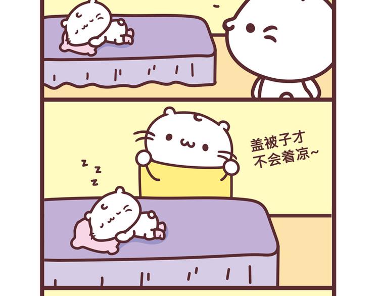 麻吉貓小日常 - 蓋被子 - 1