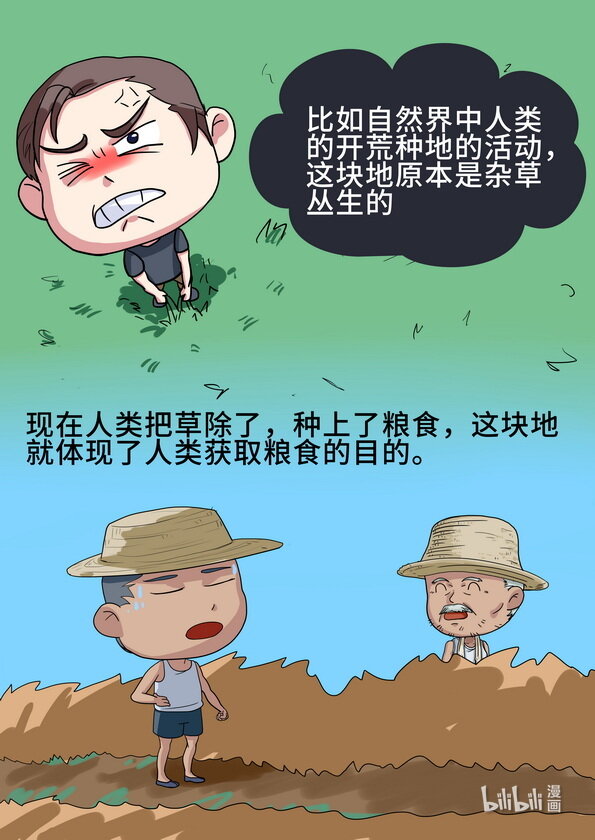 15 什么是实践（下）-第16话