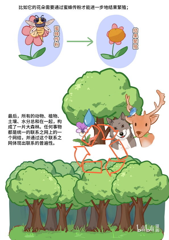 09 联系与发展-第10话