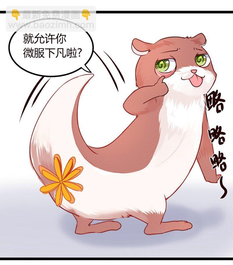 043 跟你时哪来安静-第44话