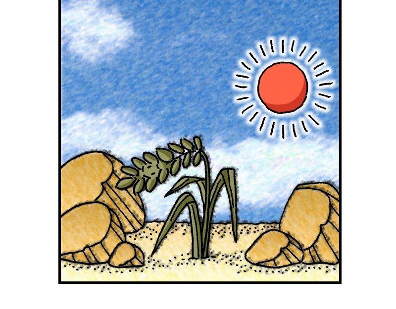 第13章：解释天国的奥秘(1/3)-第14话