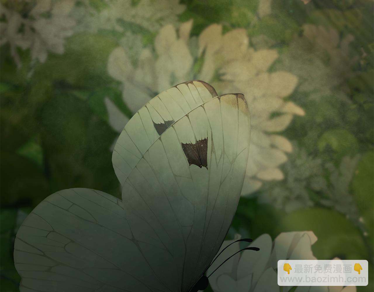 第78话 双胞胎的羁绊(1/4)-第78话