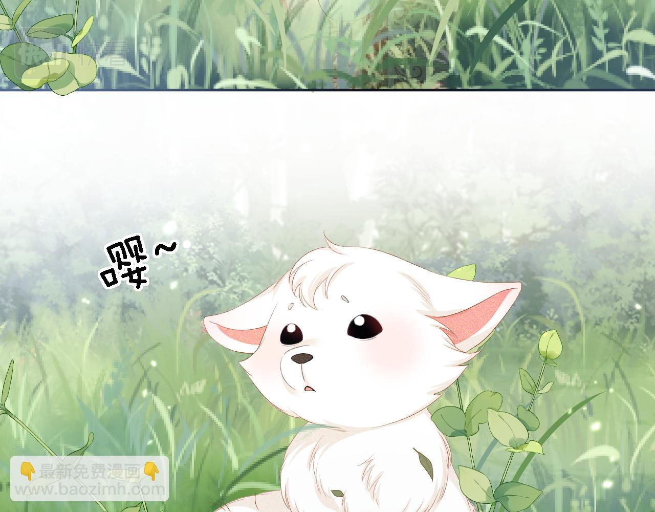 第45话 小白狐(1/2)-第46话