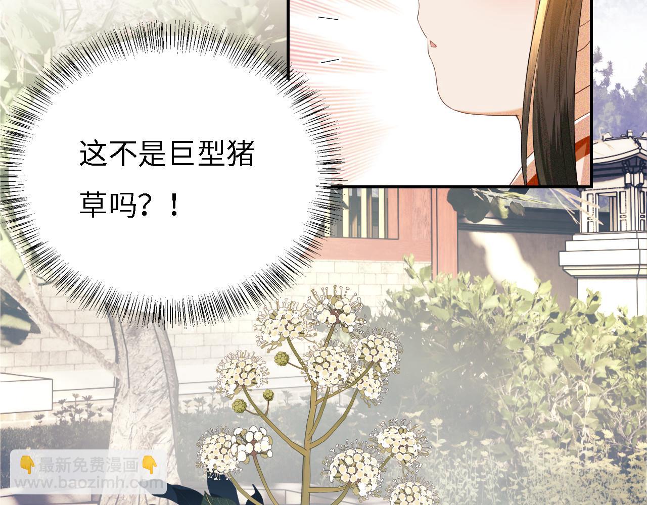 第55话 巨型猪草(1/2)-第56话