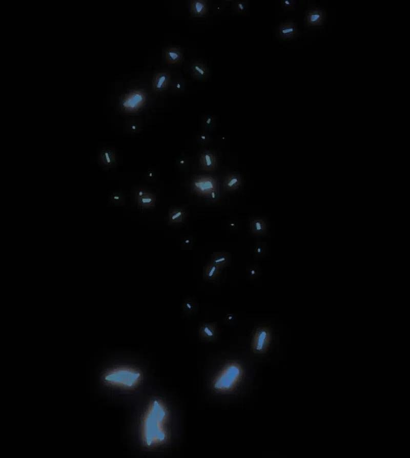 45 营救(1/2)-第42话