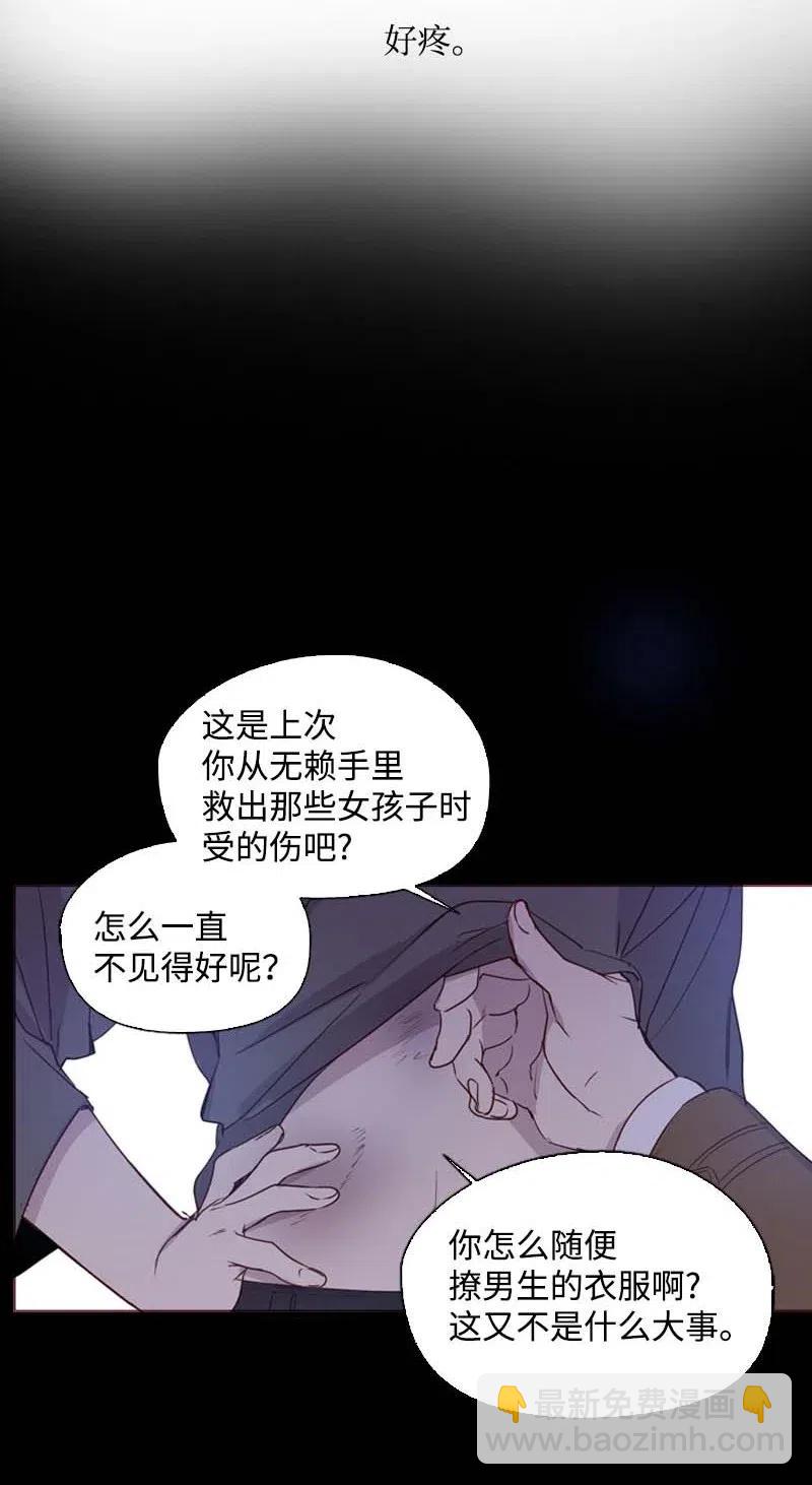 49 劳尔的回忆(1/2)-第46话