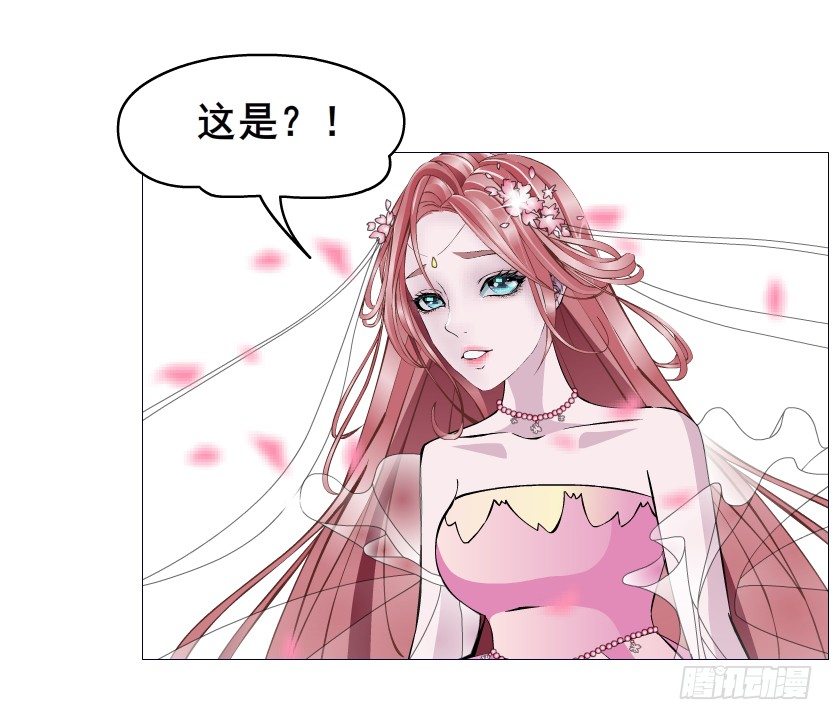 第63集 特别特别喜欢你！(1/2)-第64话