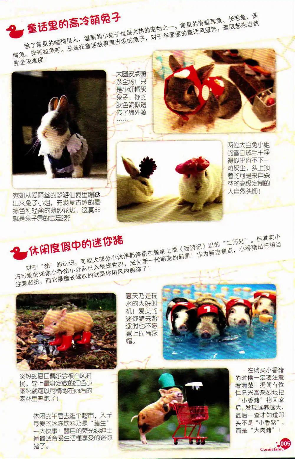 第369期 全本(1/5)-第30话