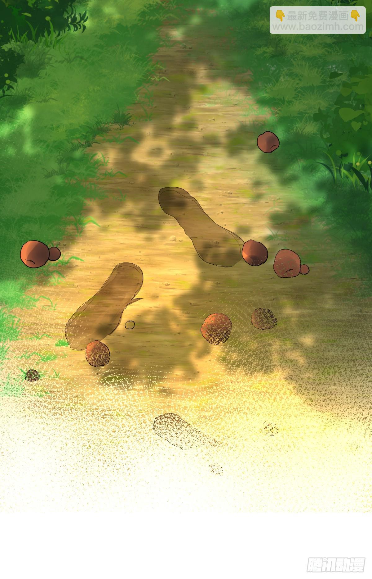 夜幕森林再重逢(1/2)-第6话