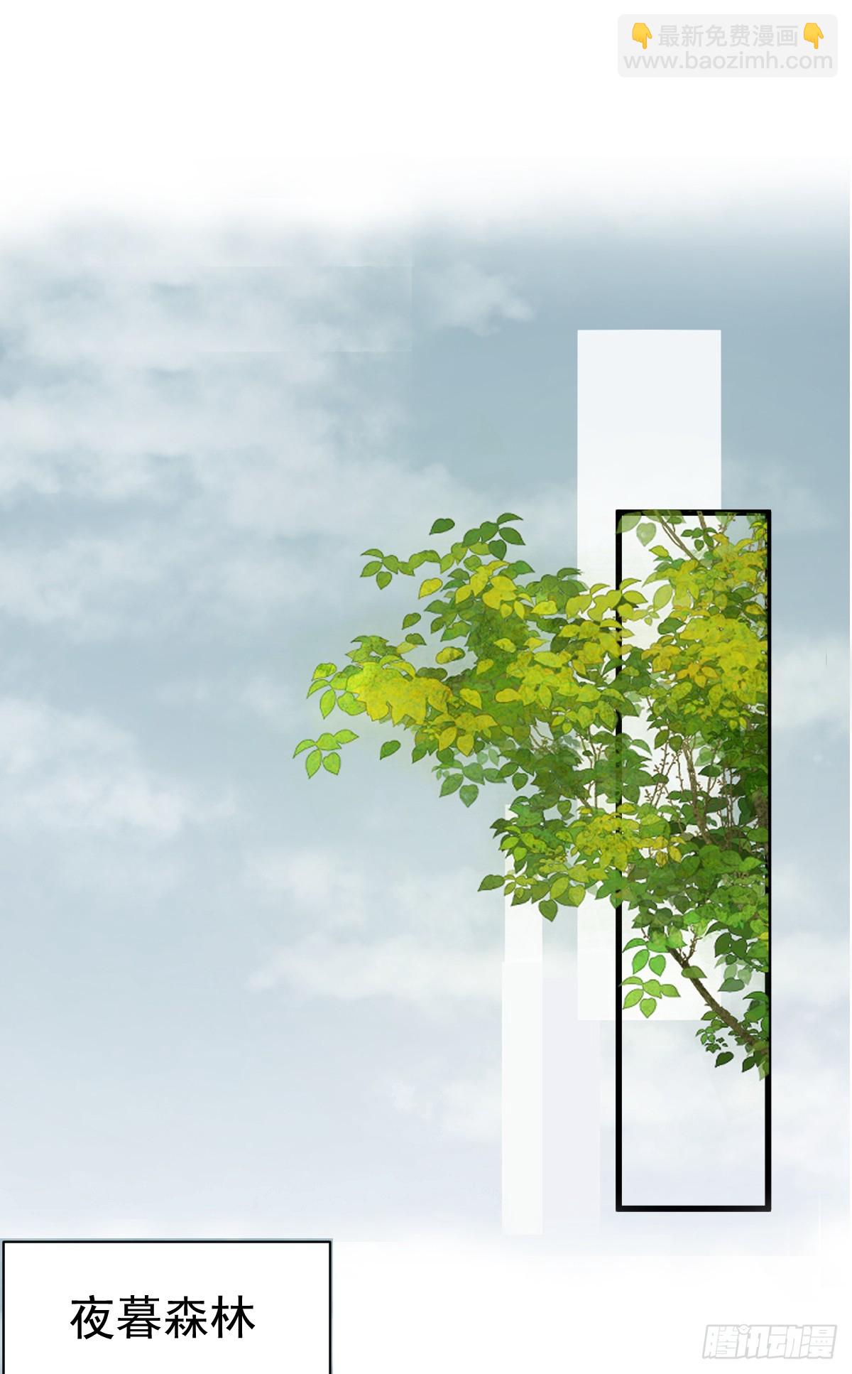 夜幕森林再重逢(1/2)-第6话