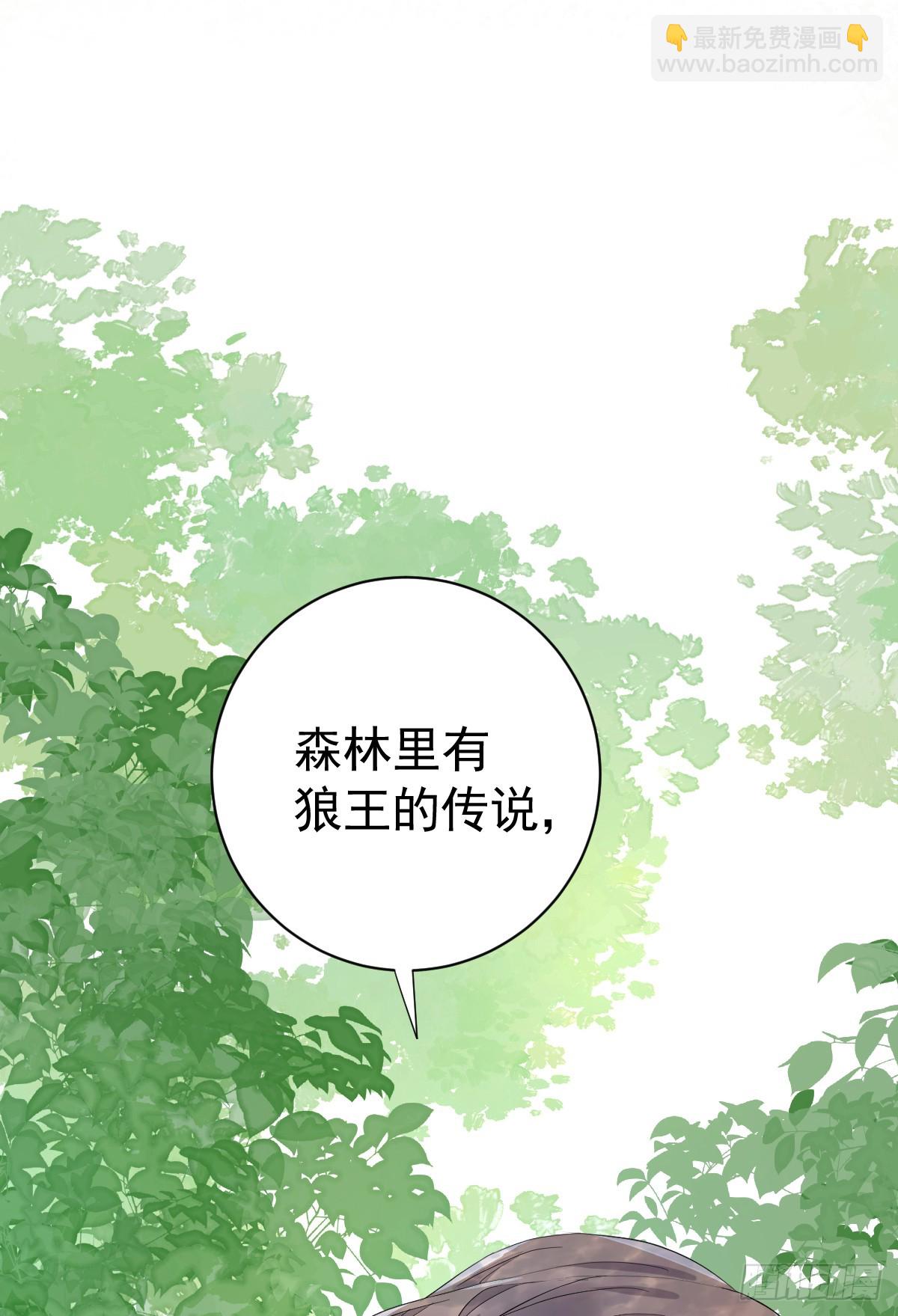 夜幕森林再重逢(1/2)-第6话