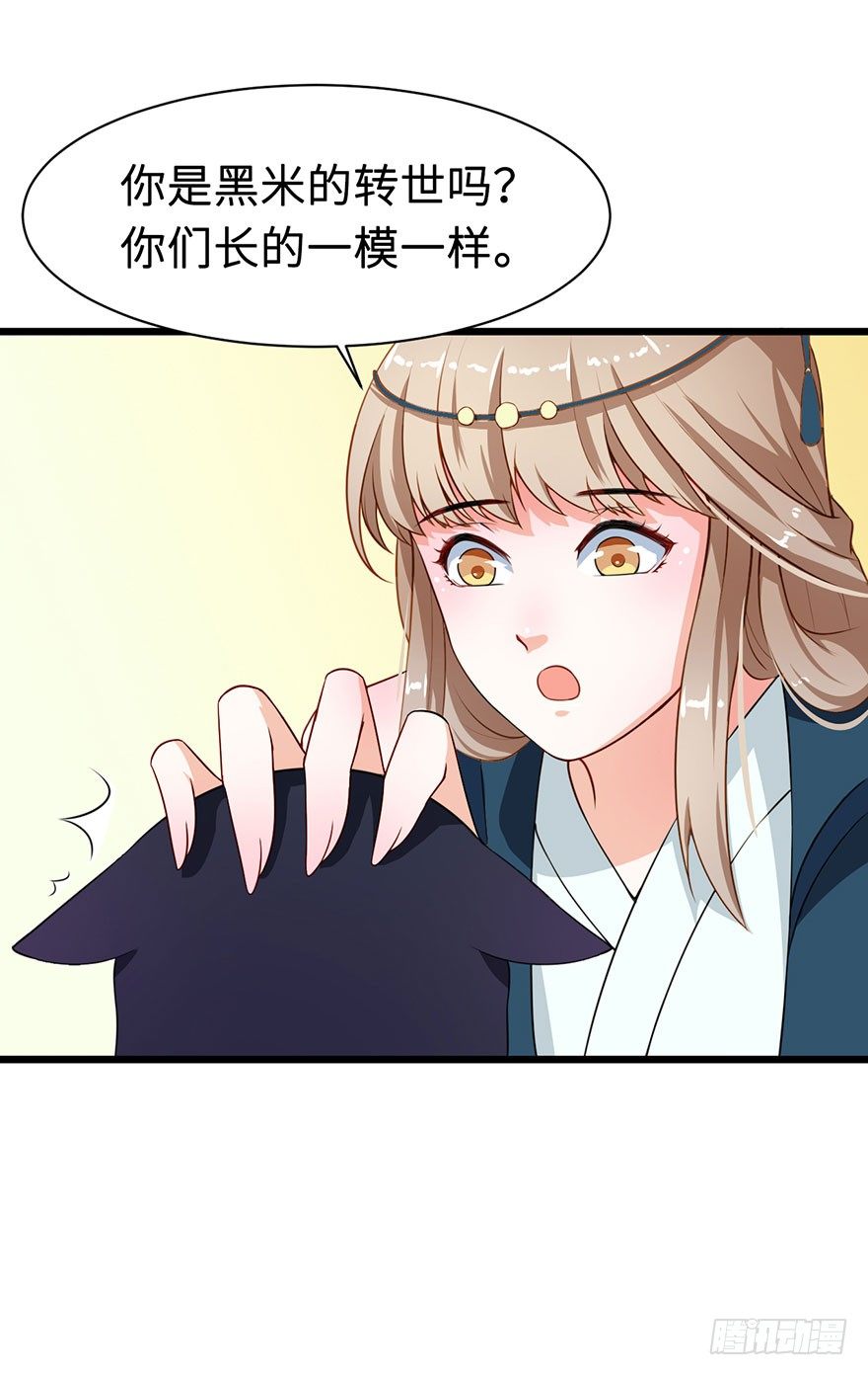 011爱与恨的交锋-第12话