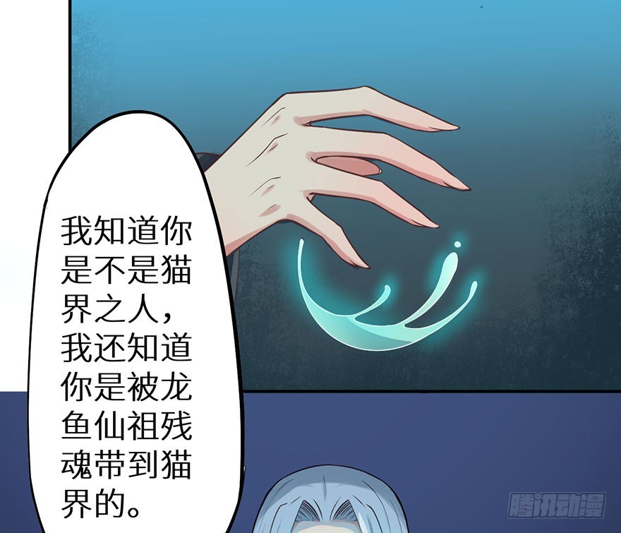 119猫神记忆碎片-第120话