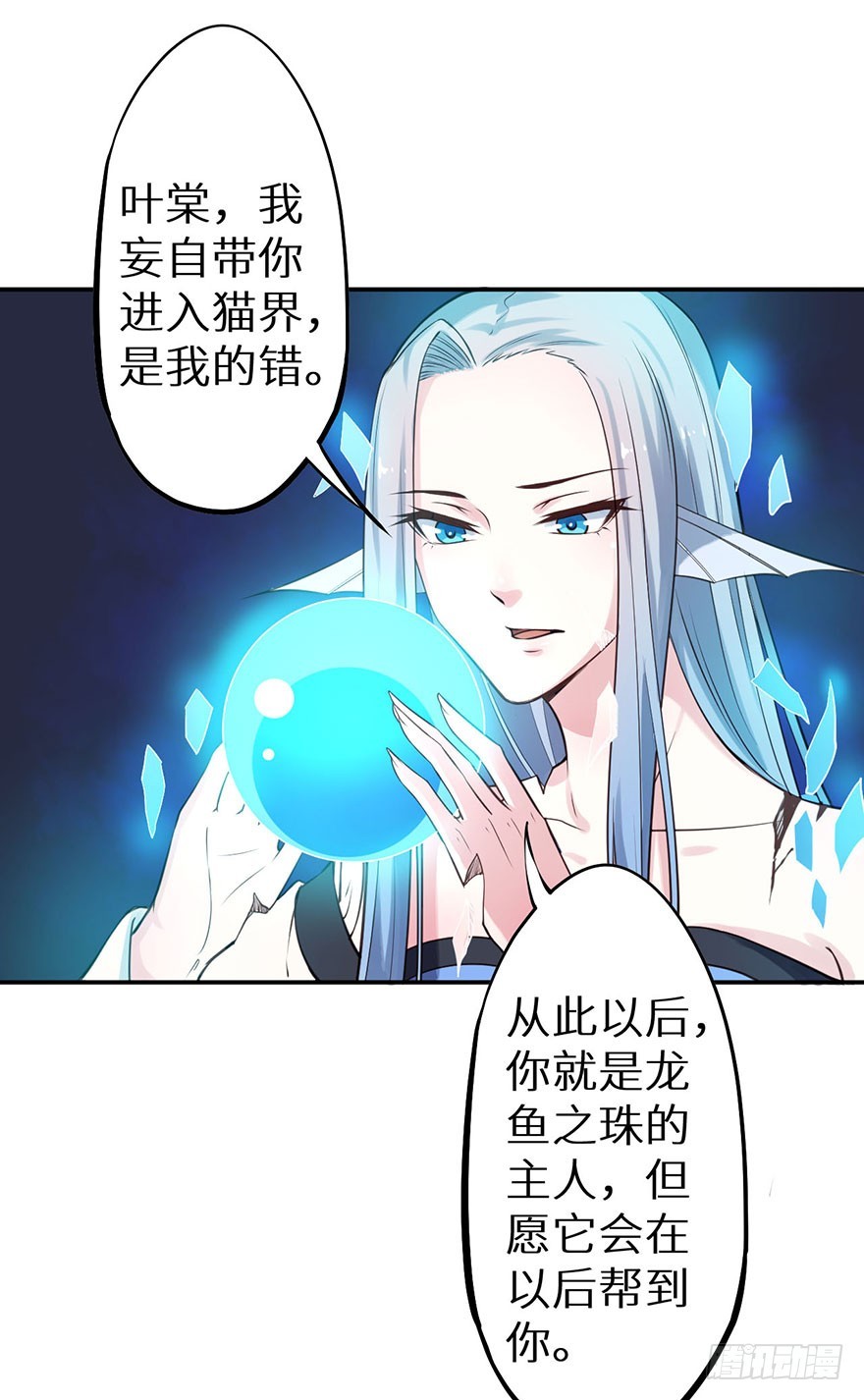 119猫神记忆碎片-第120话