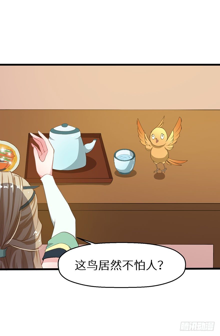 019送礼物的小鸟-第20话