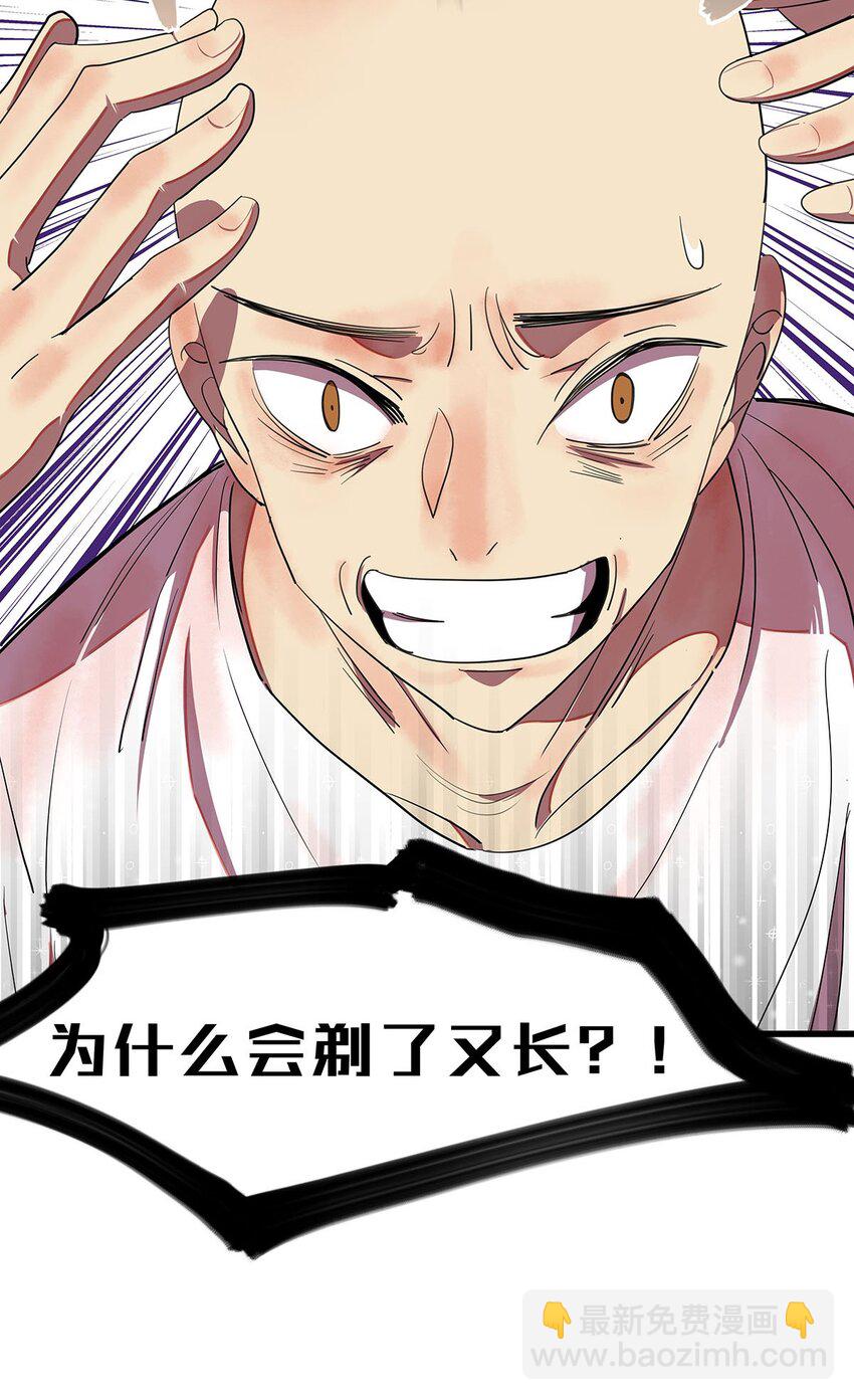 1 想秃秃不了的毛不密(1/2)-第2话