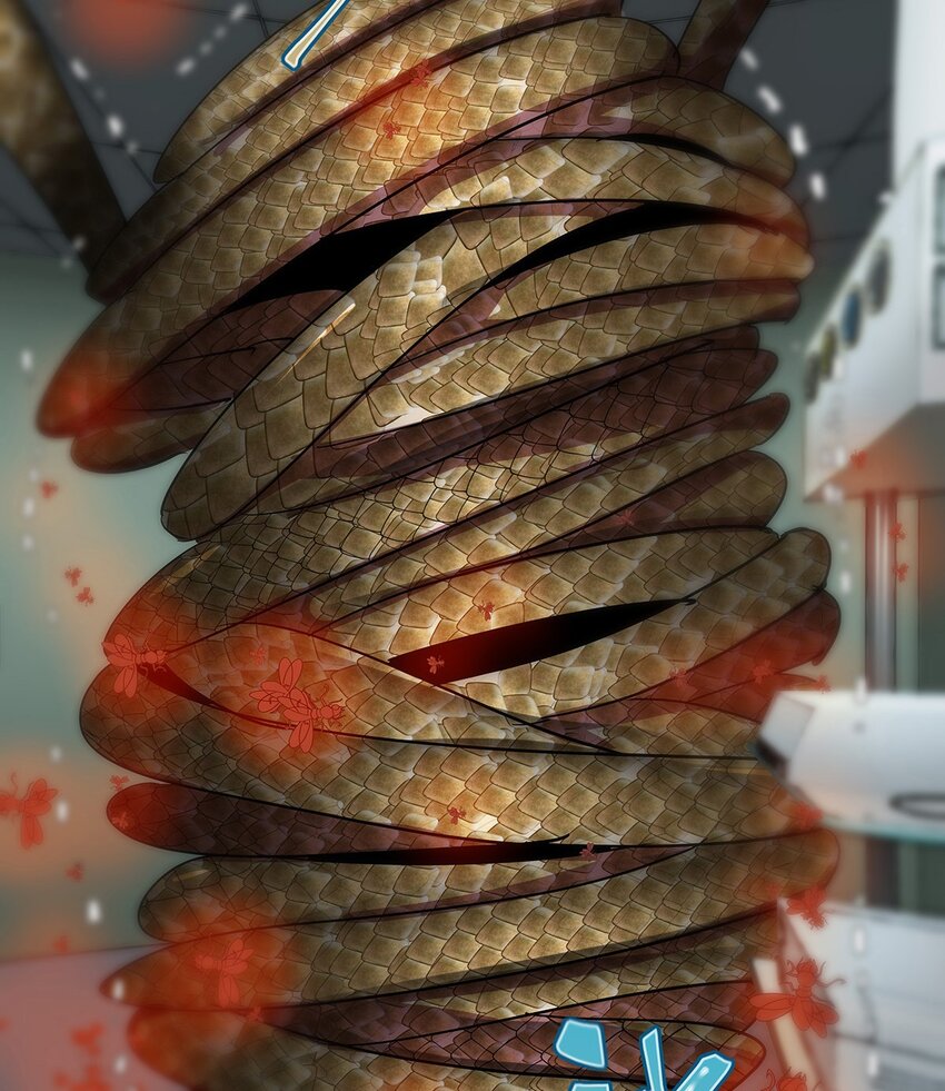 12 原来是智斗型主角的毛不密(1/2)-第16话