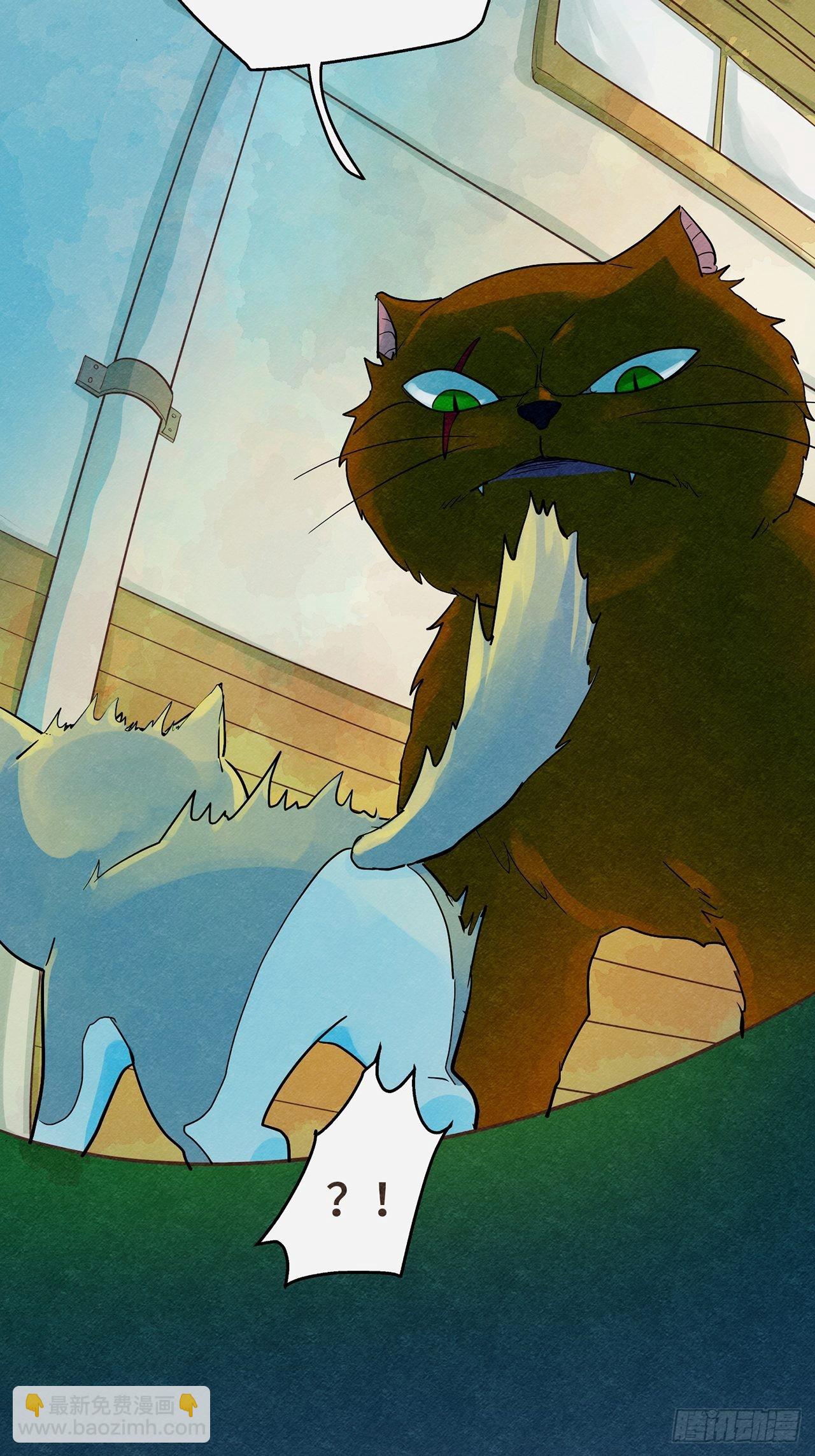 第35话 我是自由的猫（上）-第36话